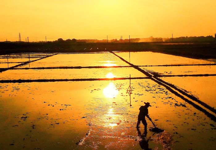 5��Ӱ��Ʒ�������������Ƚ���Τ��ΰ ��-13768307144700.jpg