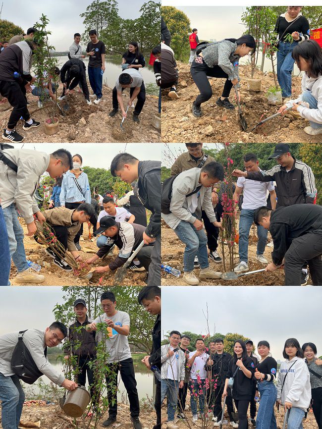 ֲ���ֳ������� �㣨��ͼ��.jpg